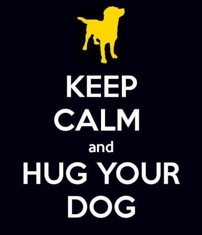 hug your dog